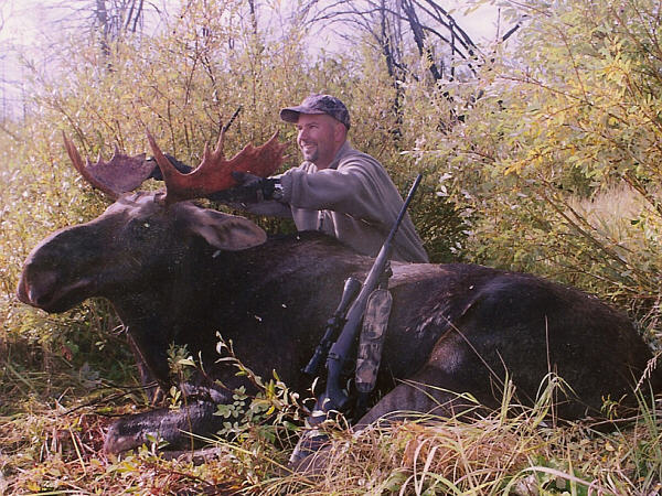 big moose hunting
