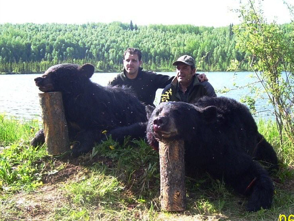 bear hunting